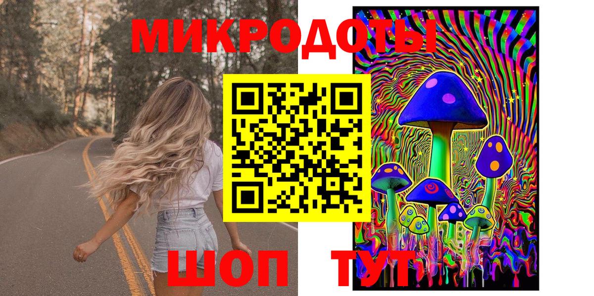 Клин  Псилоцибиновые грибы Psilocybine cubensis  Вход с VPN  Псилоцибиновые грибы GOLDEN TEACHER 