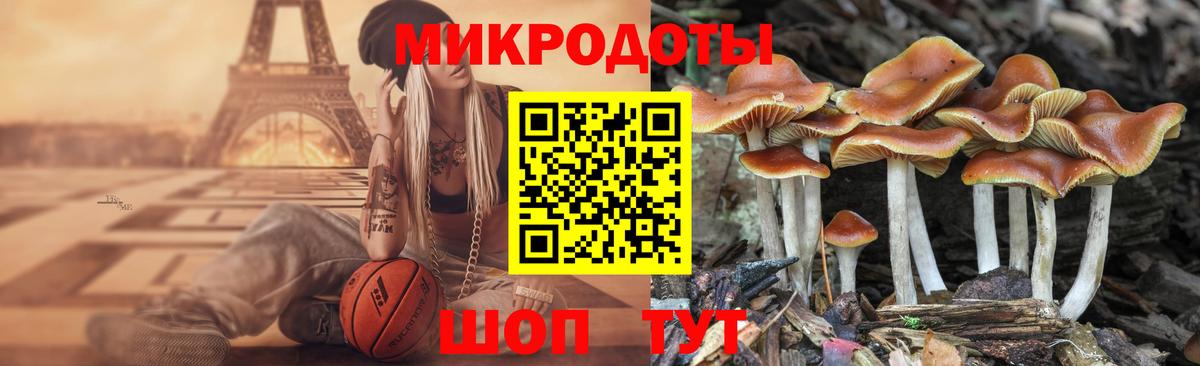 Псилоцибиновые грибы прущие грибы Клин